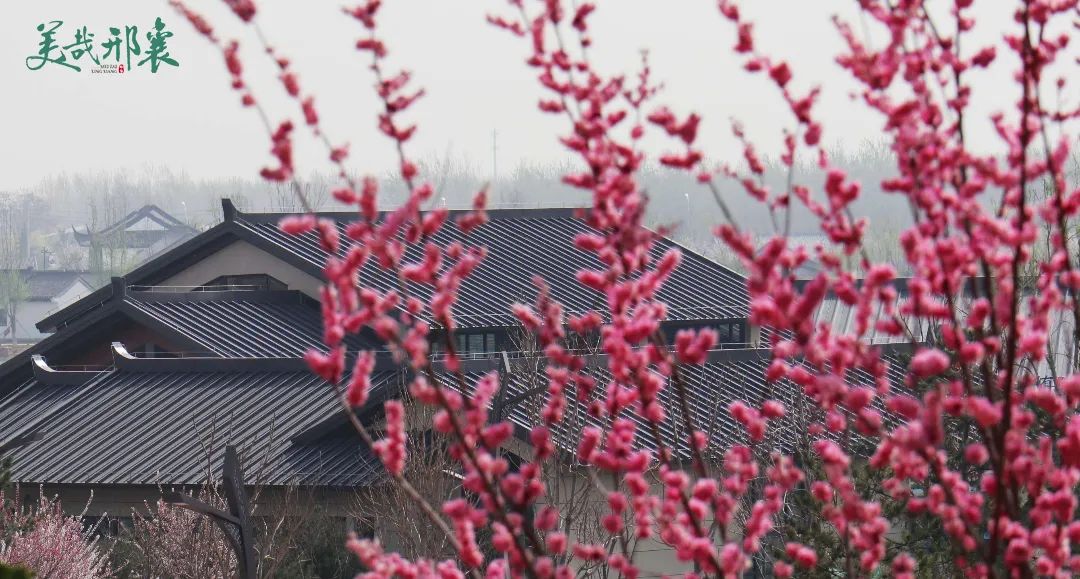 襄州区2021年招聘幼儿教师公告,邢台市幼儿园招聘16人