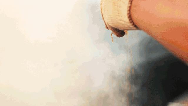 四方坪一家东北烧烤,四方坪最好的烧烤店