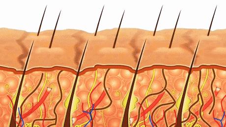 百元内祛黄提亮精华推荐,百元好用美白精华推荐分享测评