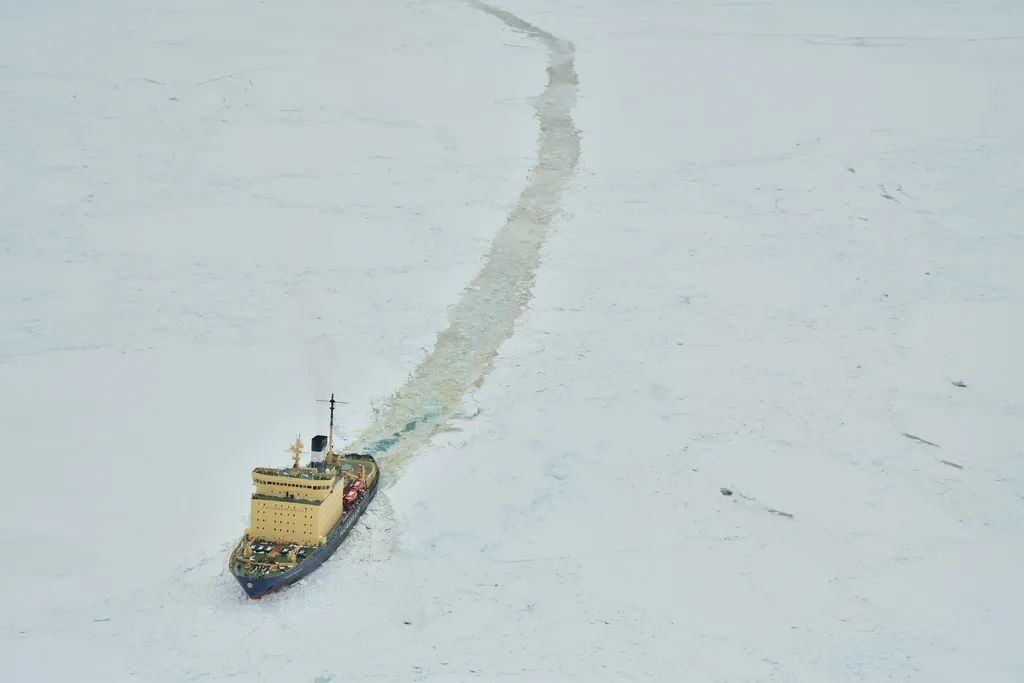 南极洲“绿雪”涌现，帝企鹅：泥土是什么？