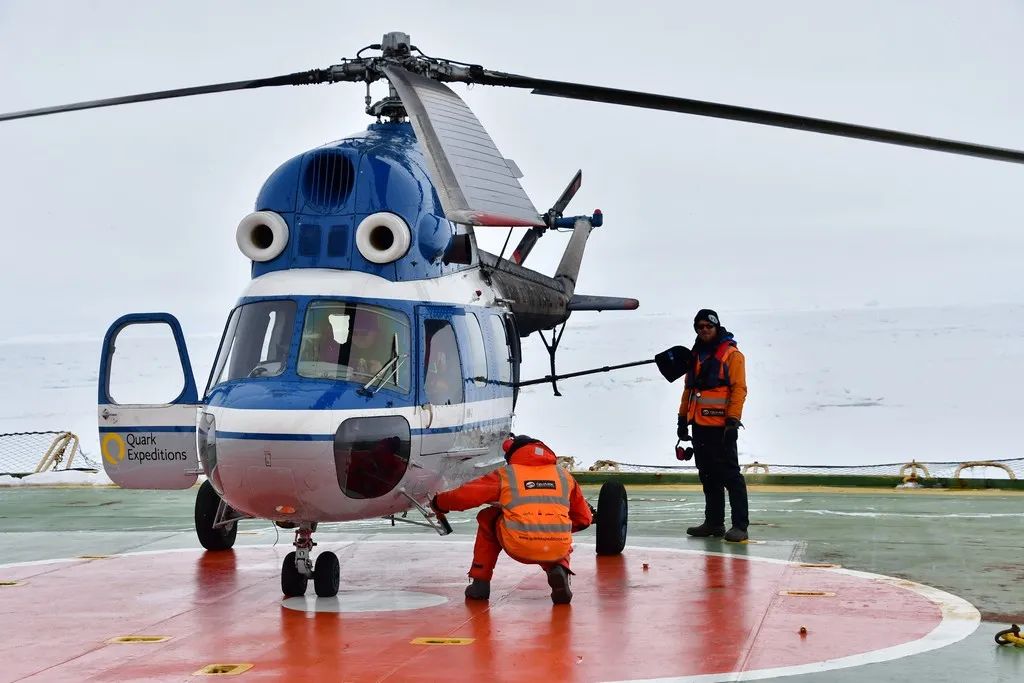 南极洲“绿雪”涌现，帝企鹅：泥土是什么？