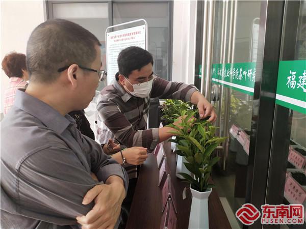 2021年5.21福建国际茶日活动,茶文化科普知识活动