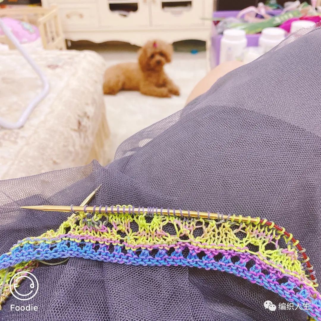 钩针编织星光花样,星光形棒针花样图解