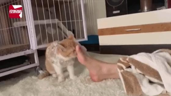 关于脸上有脚气的事 (年轻姑娘脸上长脚气是什么原因)