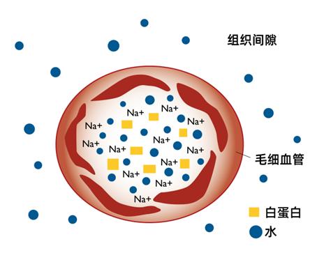 目标导向的液体治疗,目标导向型液体治疗的概念