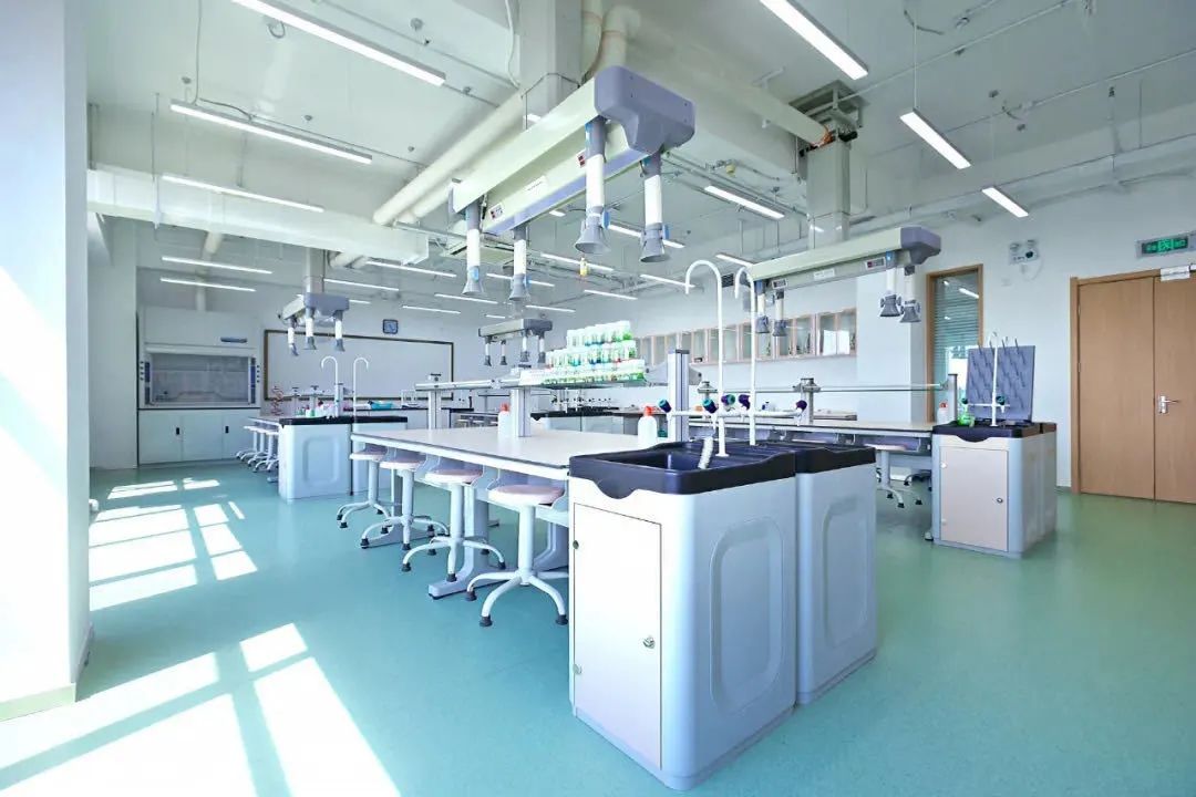 中招国际,中招国际学校