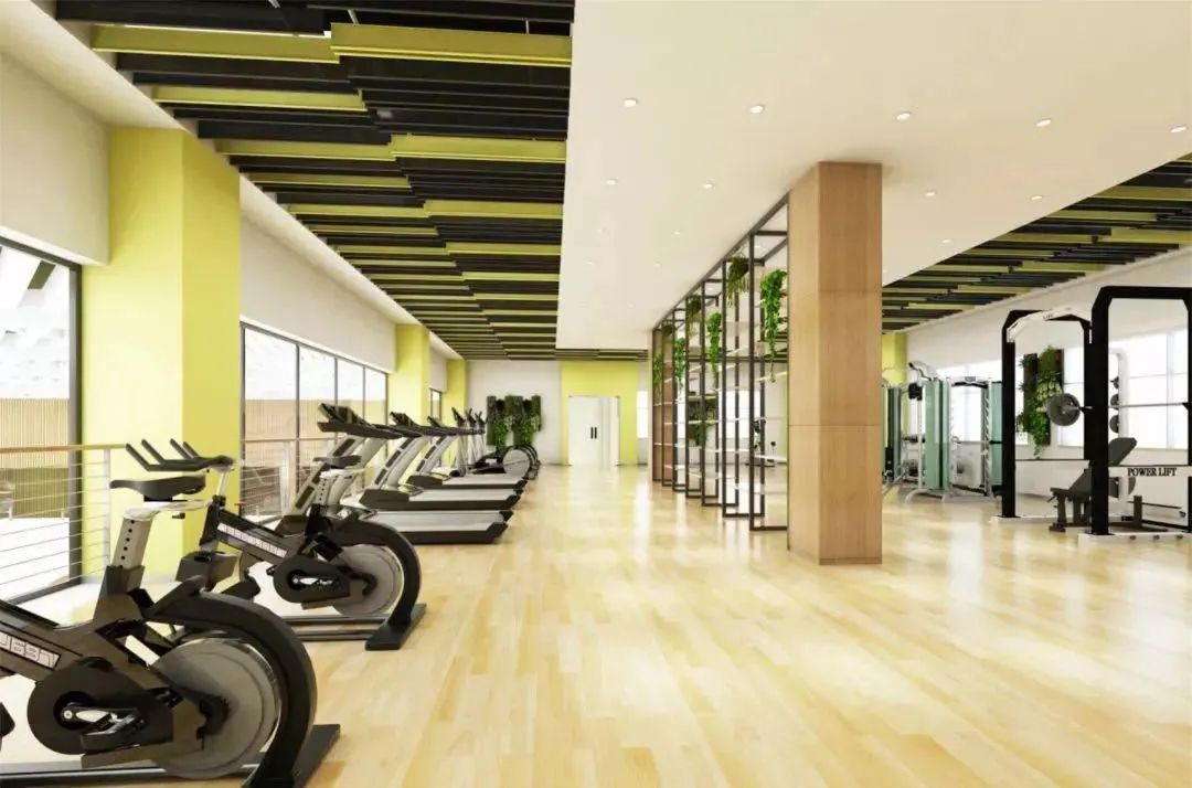 中招国际,中招国际学校