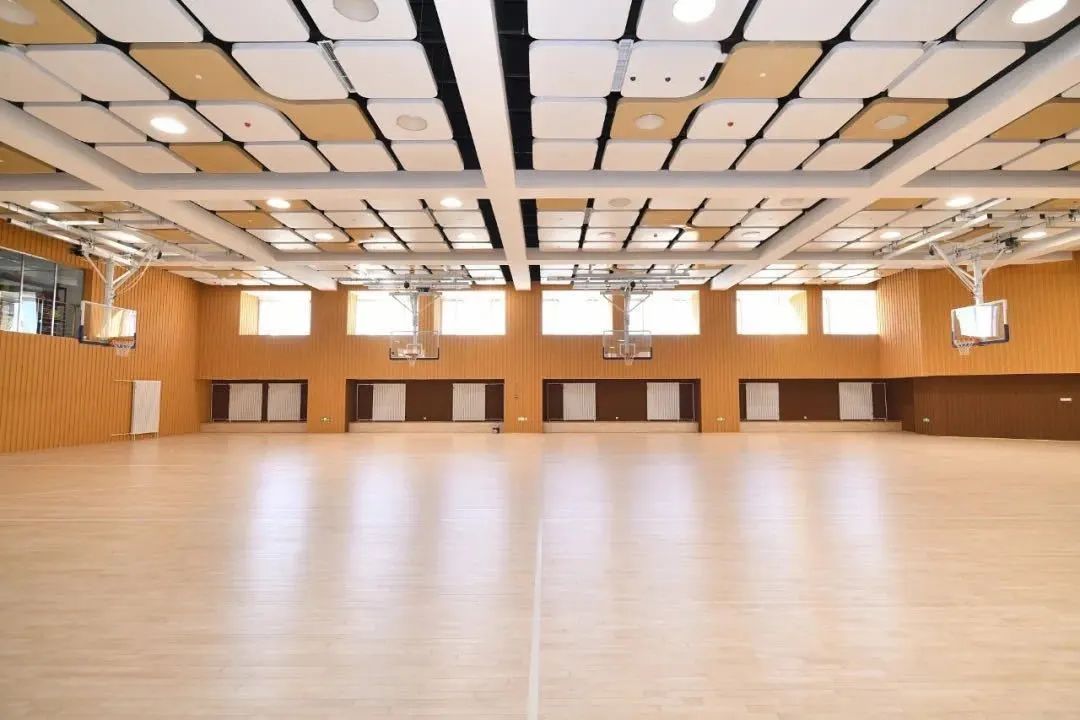 中招国际,中招国际学校