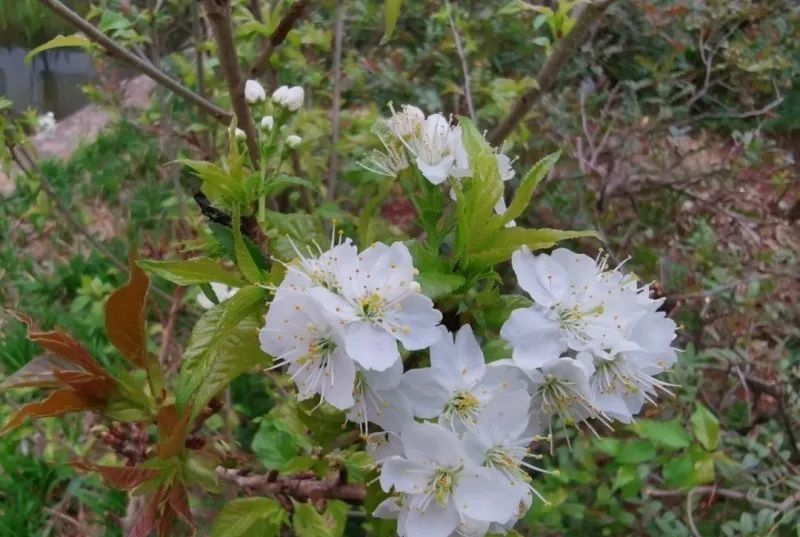 突然好想你广州大学,突然想你昆明理工