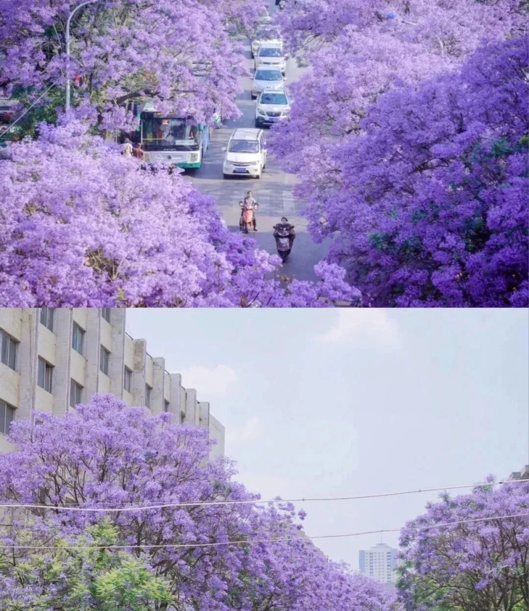 突然好想你广州大学,突然想你昆明理工