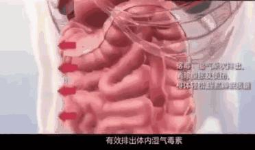 湿气重排不出去吃什么效果好,湿气重不容易瘦怎么办