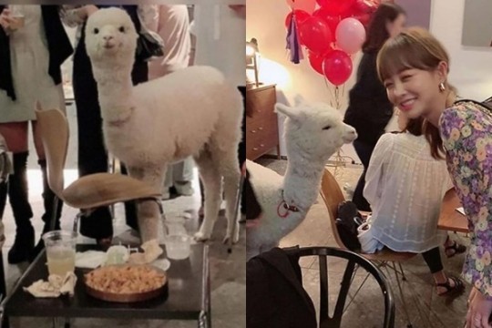 新冠敏感期的”清潭洞生日派对“引争议