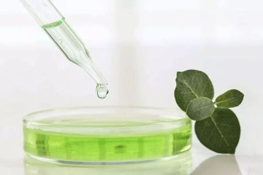 中年发福克星!冰爽+塑形+驱蚊,穿上躺着也能塑身