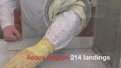 中年发福克星!冰爽+塑形+驱蚊,穿上躺着也能塑身