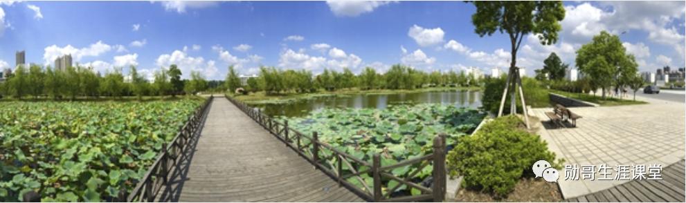 太厉害!这所独立学院录取线超公*本科办**,考教师编,全省第三