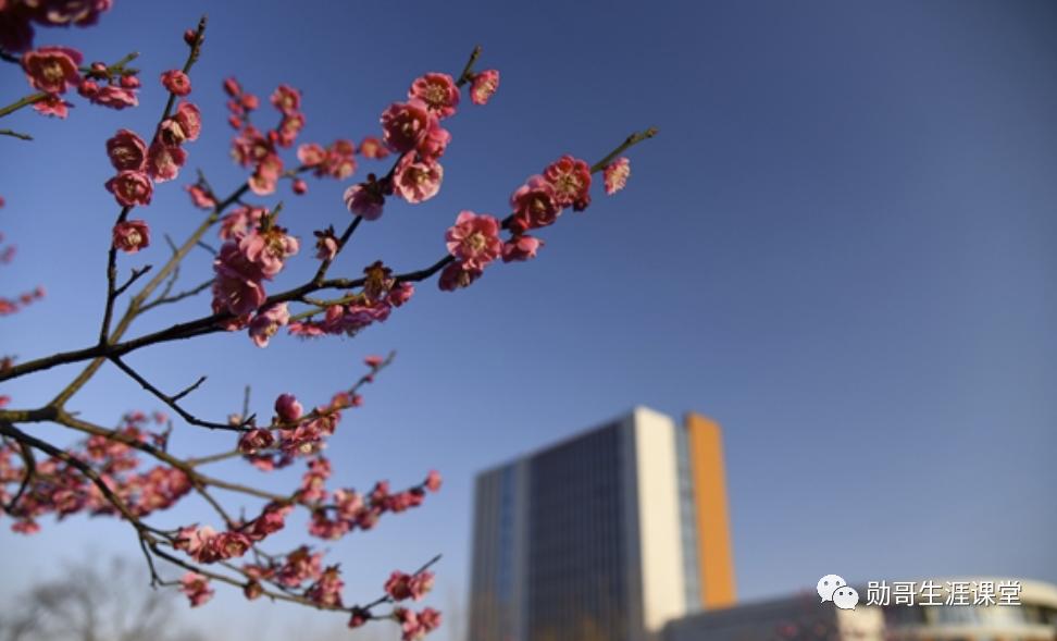 太厉害!这所独立学院录取线超公*本科办**,考教师编,全省第三