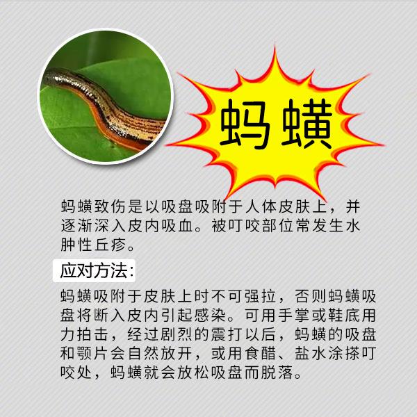 夏季防蚊虫叮咬常识温馨提示,夏天毒虫叮咬防虫手册