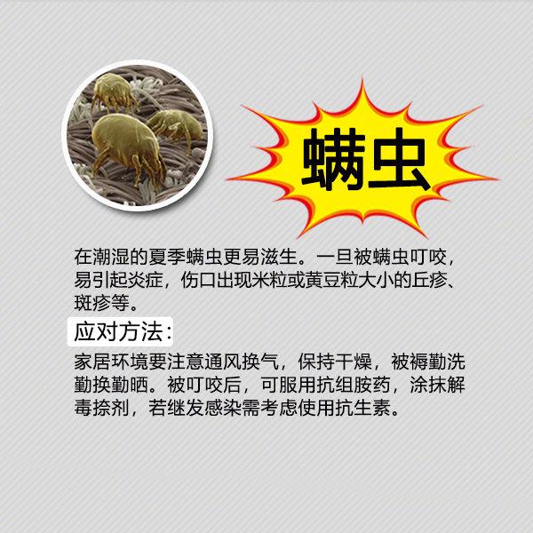 夏季防蚊虫叮咬常识温馨提示,夏天毒虫叮咬防虫手册