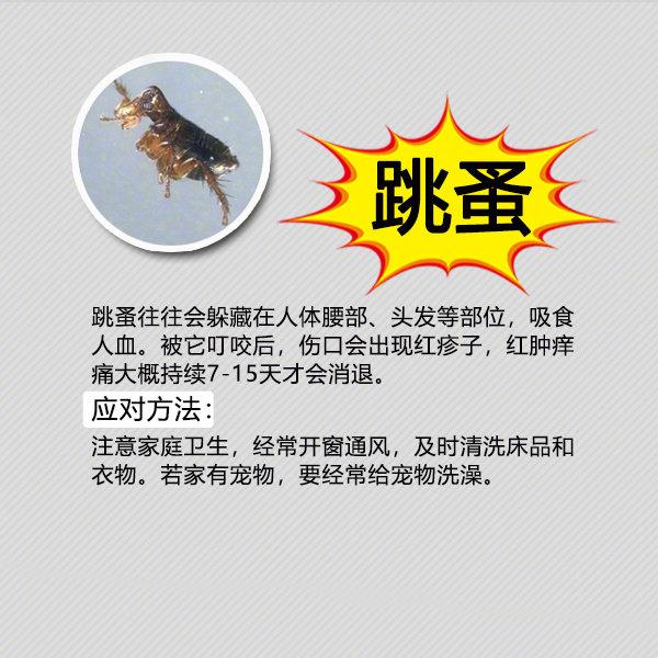 夏季防蚊虫叮咬常识温馨提示,夏天毒虫叮咬防虫手册