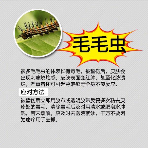 夏季防蚊虫叮咬常识温馨提示,夏天毒虫叮咬防虫手册