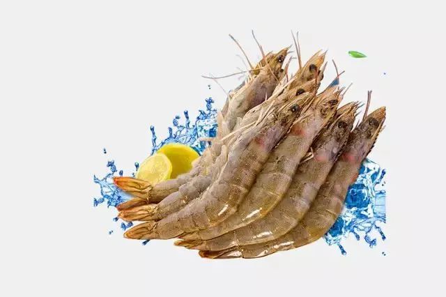 夏季防蚊虫叮咬常识温馨提示,夏天毒虫叮咬防虫手册