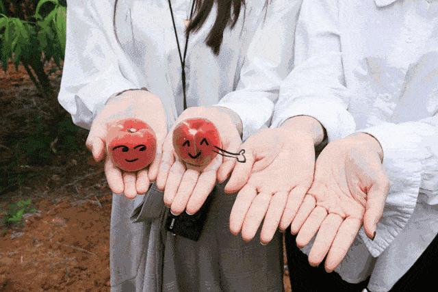 小苏打和食用碱泡打粉酵母,食用碱小苏打酵母