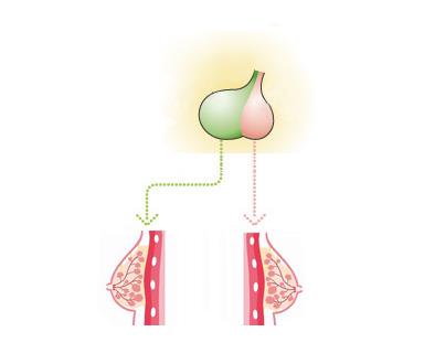 春潮带雨晚来急后面一句是什么,春潮带雨晚来急前一句