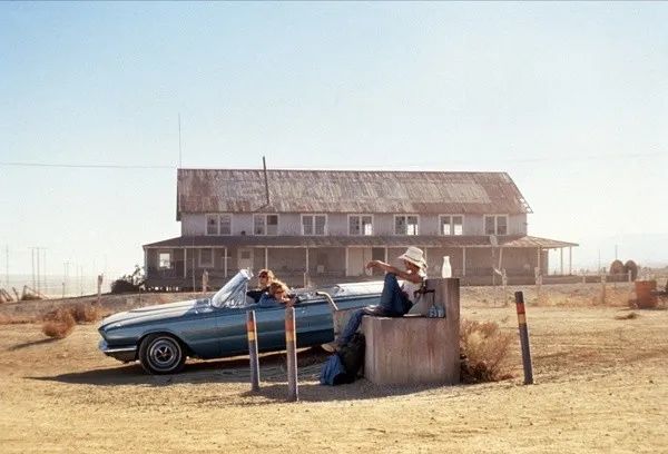 教科书般的公路片，看过的都对女主念念不忘