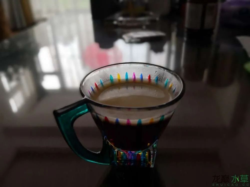 草缸1.2米生命之树造景,草缸造景60厘米大师作品