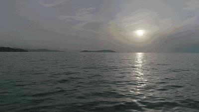 「小南夜读」太湖川条鱼