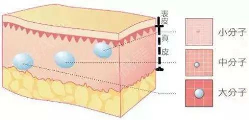 见效快的睡眠面膜,特好用的睡眠面膜
