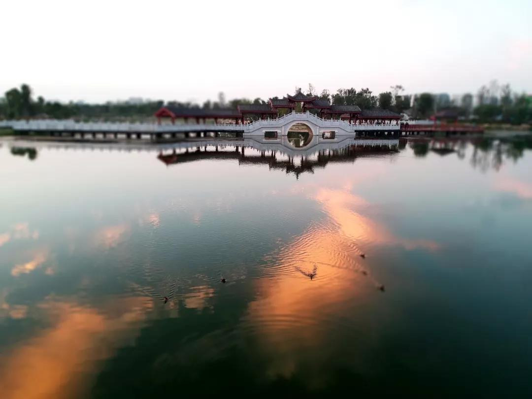 如何评价商丘市在河南省的地位?