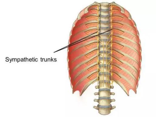 她为这病自卑了20多年，没想到神奇的两根针一扎，治好了