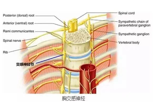 她为这病自卑了20多年，没想到神奇的两根针一扎，治好了