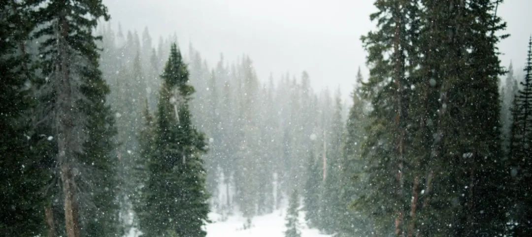 亦柔亦刚古典舞,亦刚亦柔刚柔并济