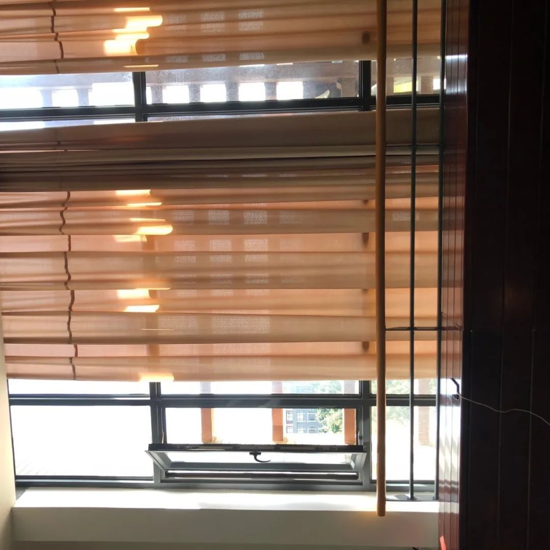 无声云南师范大学,母校云南师范大学