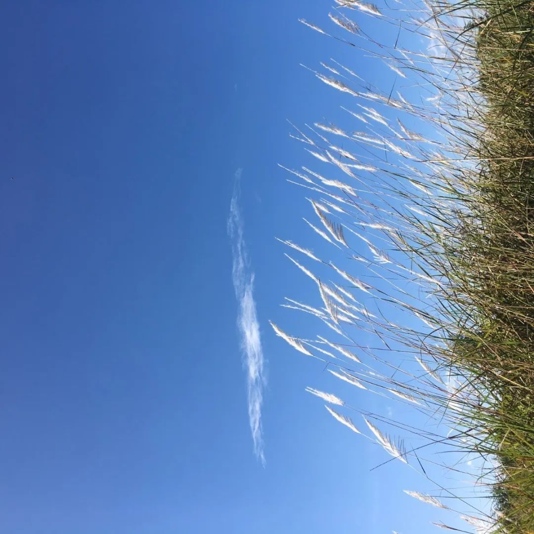 无声云南师范大学,母校云南师范大学