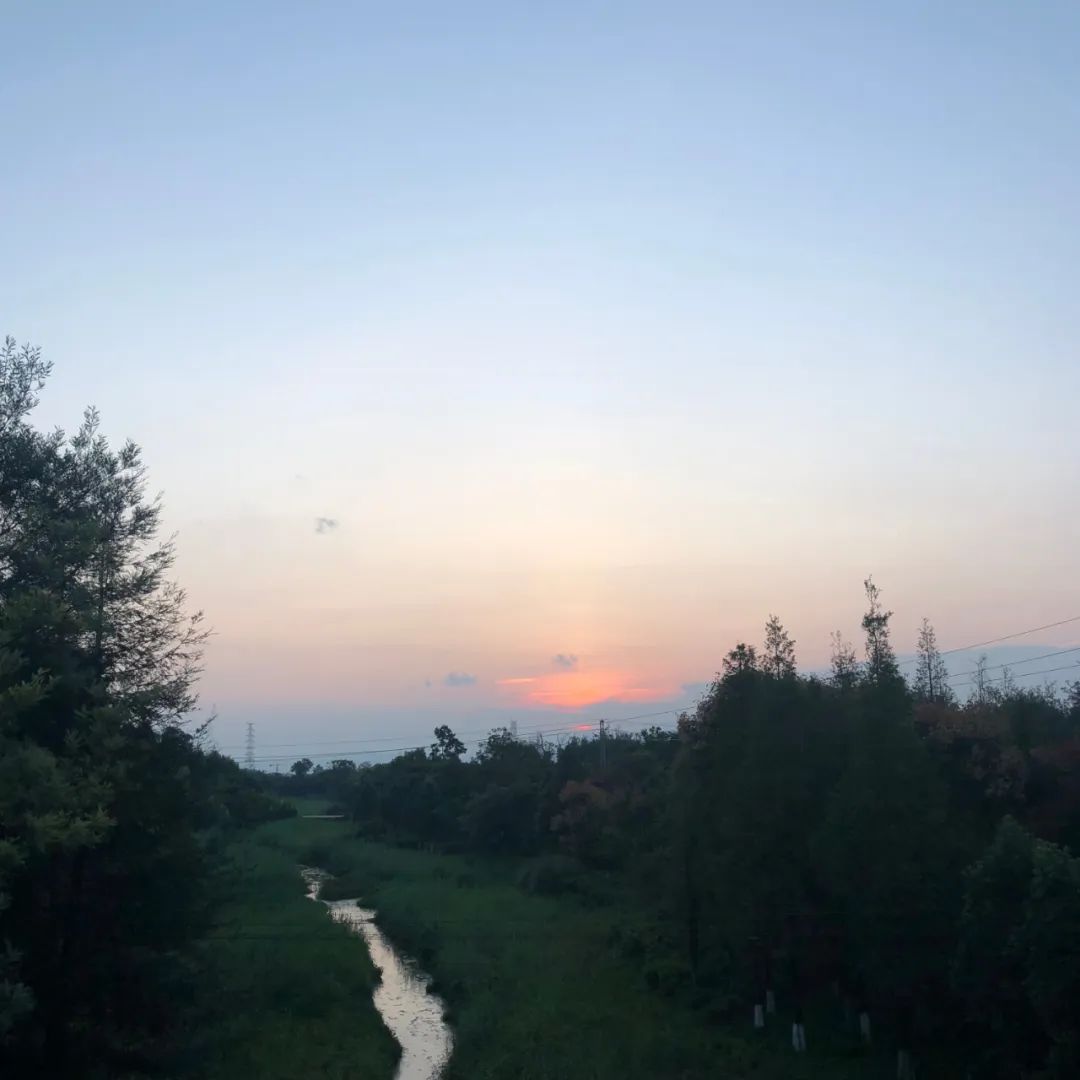 无声云南师范大学,母校云南师范大学