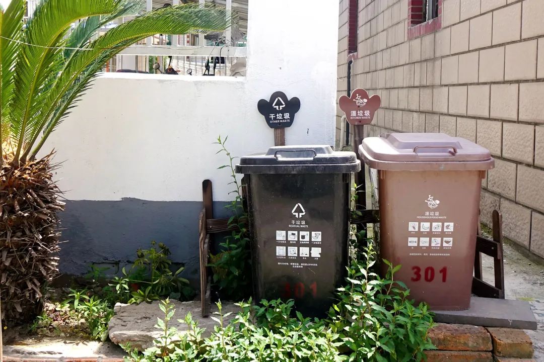 枫泾枫美路改造,青浦枫泾古镇