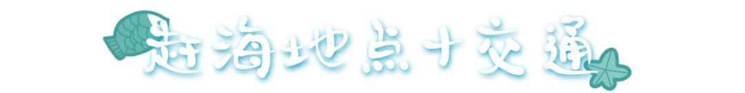 青岛崂山免费赶海最佳地点抓螃蟹,青岛最佳赶海地点有螃蟹