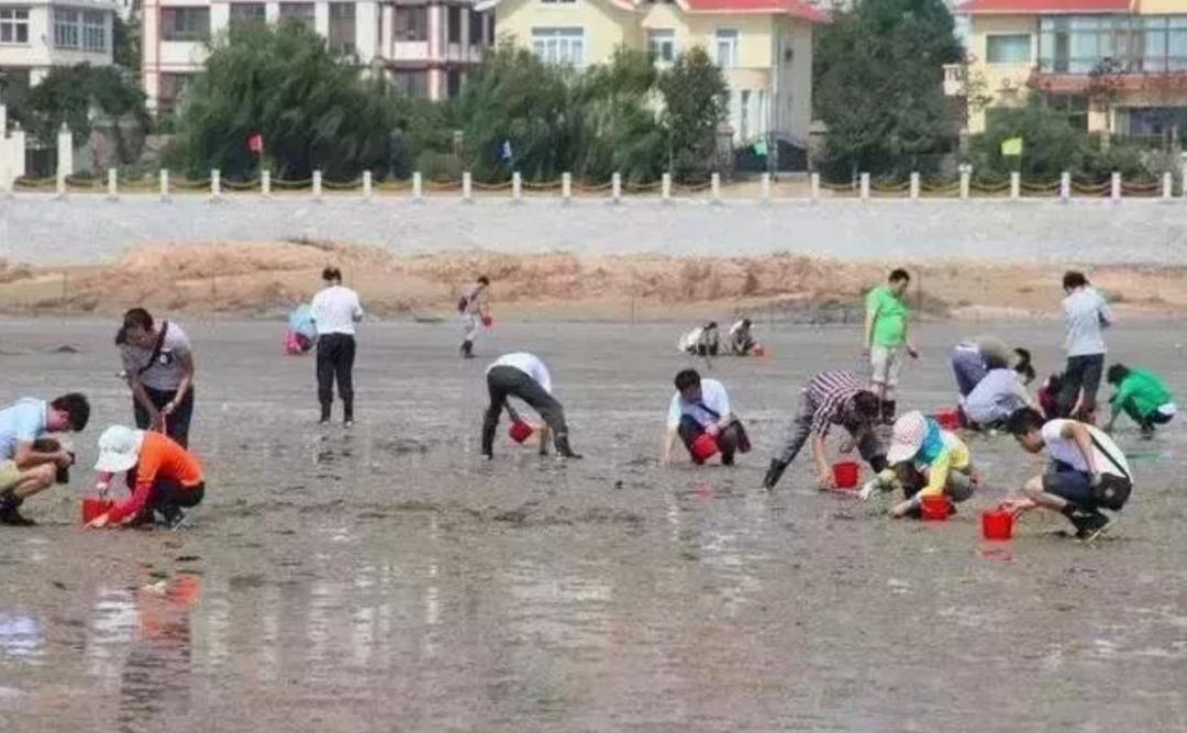 青岛崂山免费赶海最佳地点抓螃蟹,青岛最佳赶海地点有螃蟹