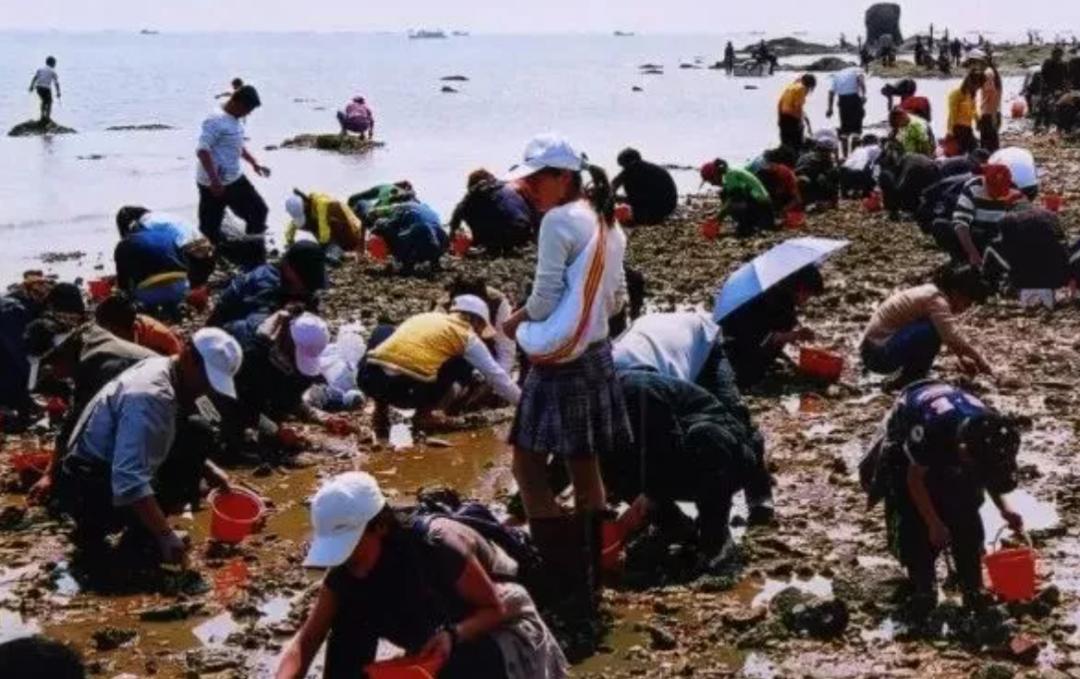 青岛崂山免费赶海最佳地点抓螃蟹,青岛最佳赶海地点有螃蟹