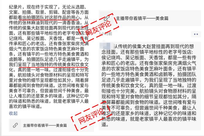 镇平县玉雕节项目,镇平玉雕节