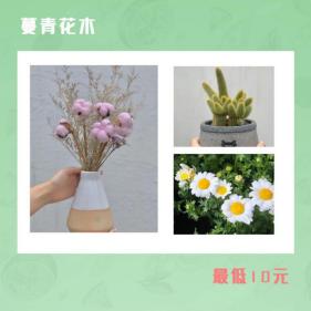 特价秒杀只要10元,秒杀价超便宜