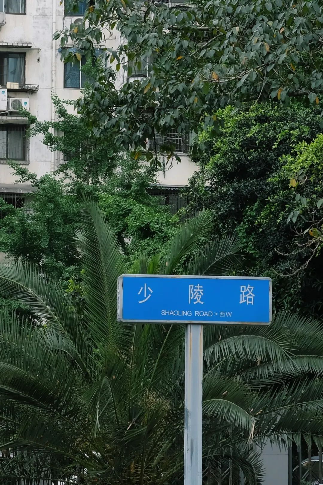 少陵路属于什么街道,没有任何历史的城市
