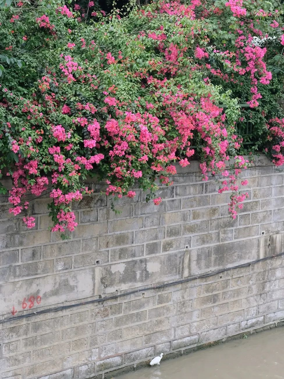 少陵路属于什么街道,没有任何历史的城市