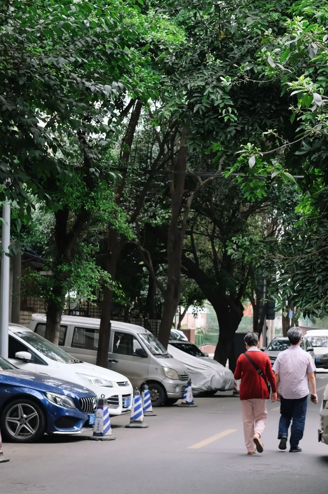 少陵路属于什么街道,没有任何历史的城市
