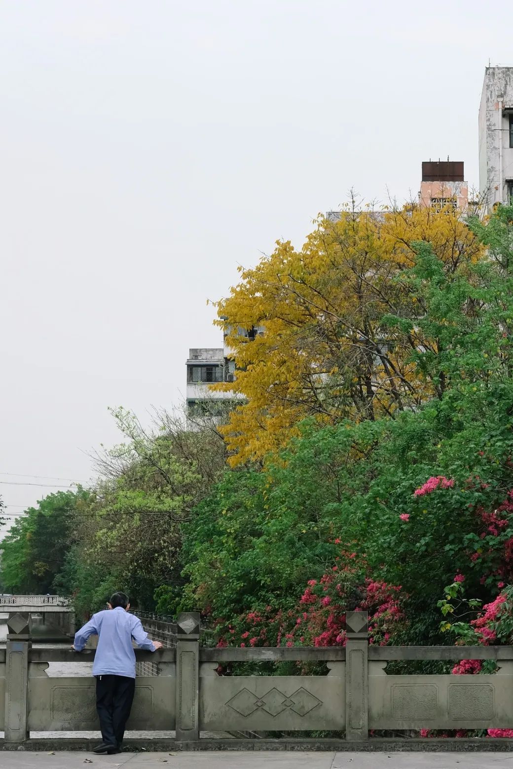 少陵路属于什么街道,没有任何历史的城市