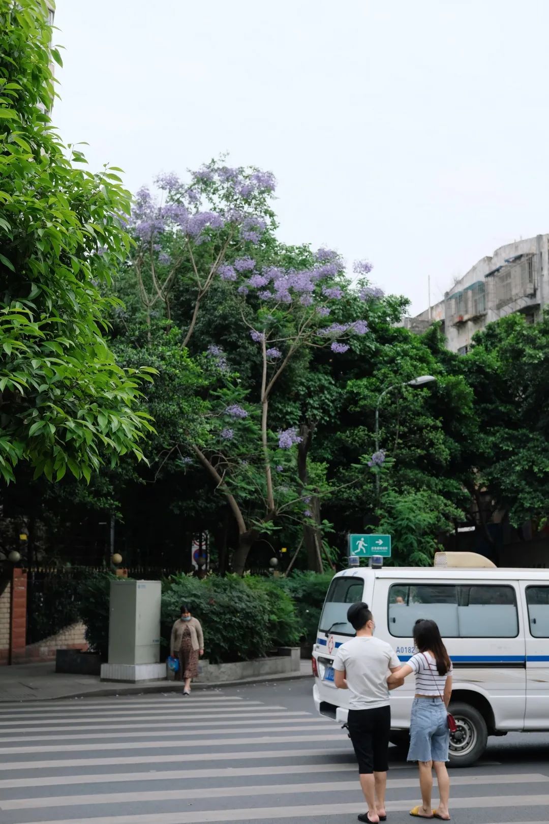 少陵路属于什么街道,没有任何历史的城市