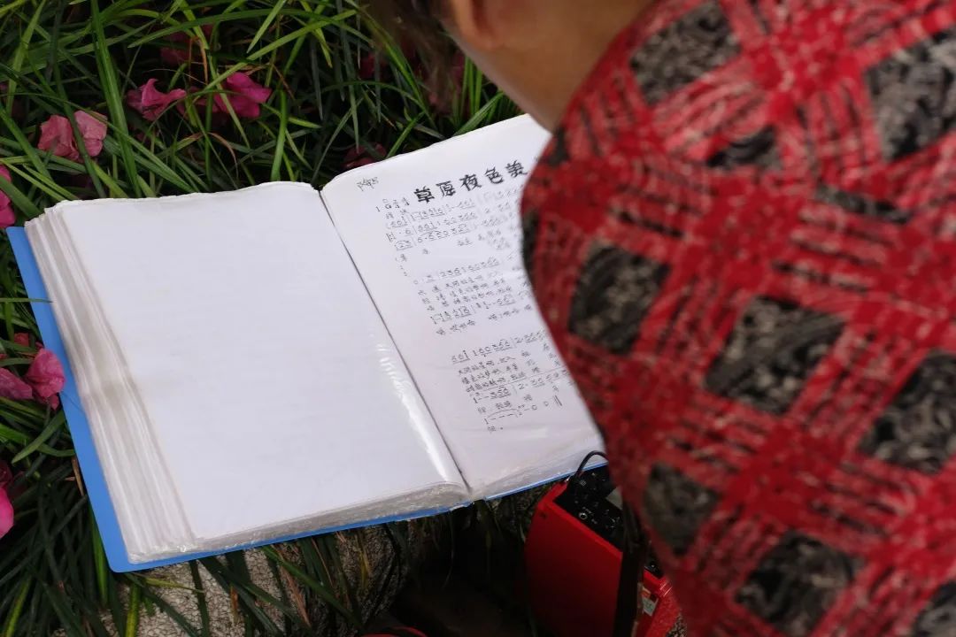 少陵路属于什么街道,没有任何历史的城市